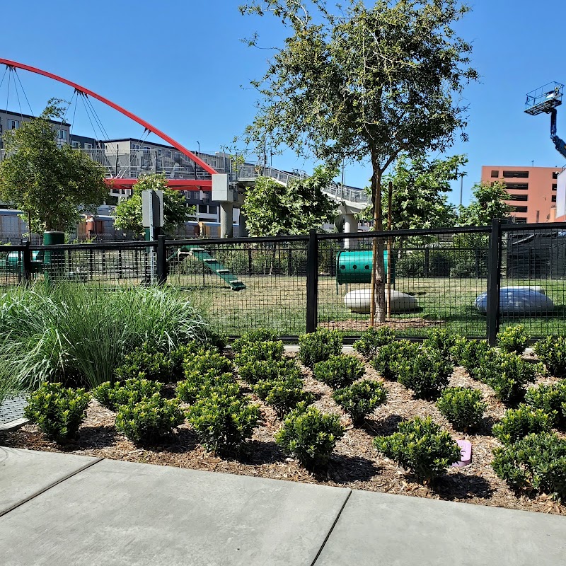 Dog park - Emeryville, CA