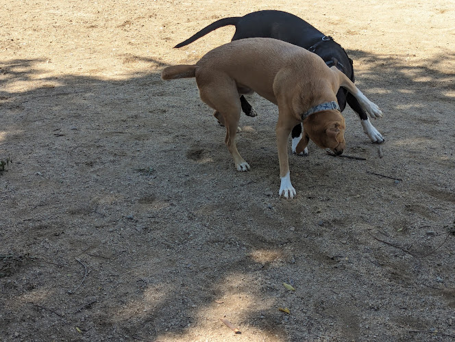 Dog park - Emeryville, CA