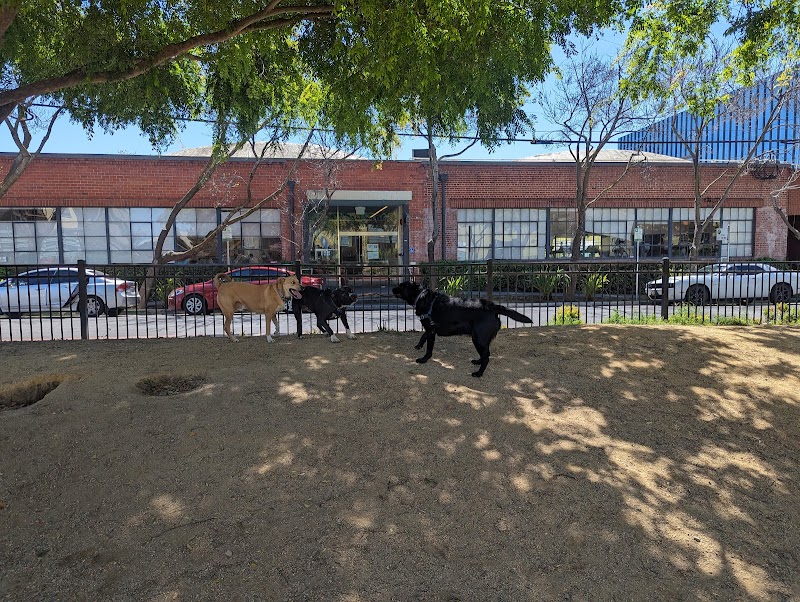 Dog park - Emeryville, CA