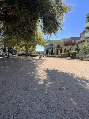 Dog park