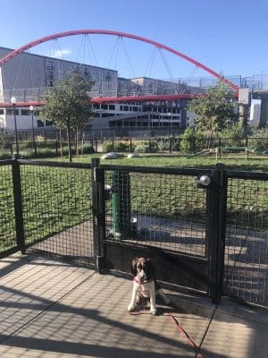Dog park