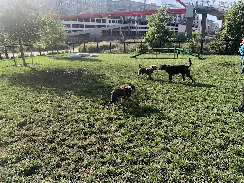 Dog park - Emeryville, CA