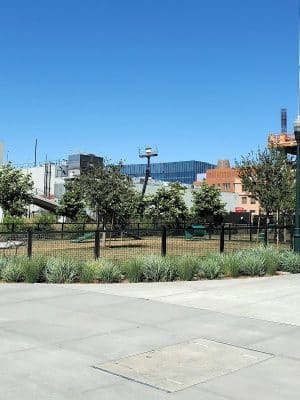 Dog park