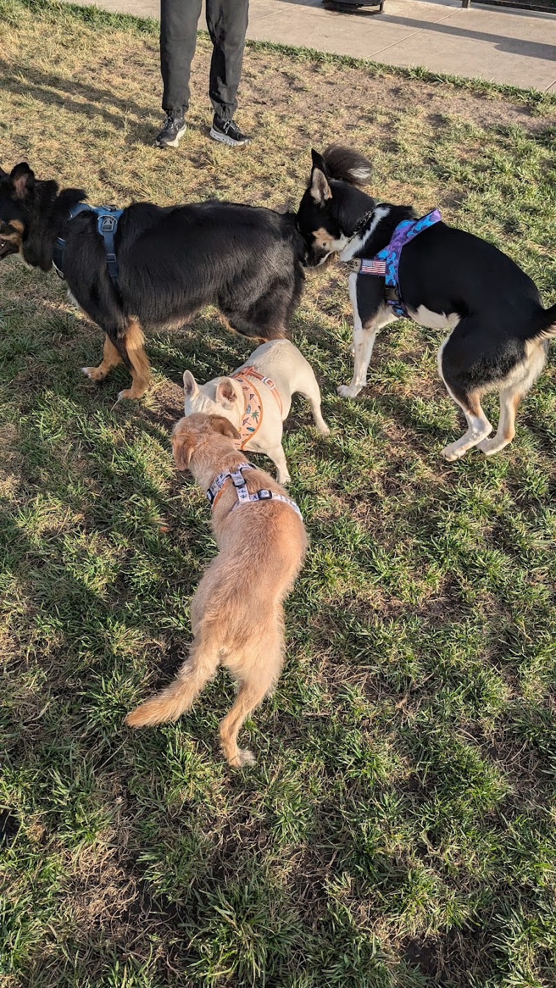 Dog park - Emeryville, CA