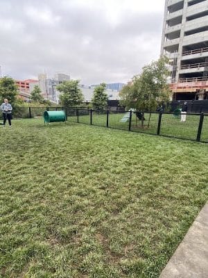 Dog park