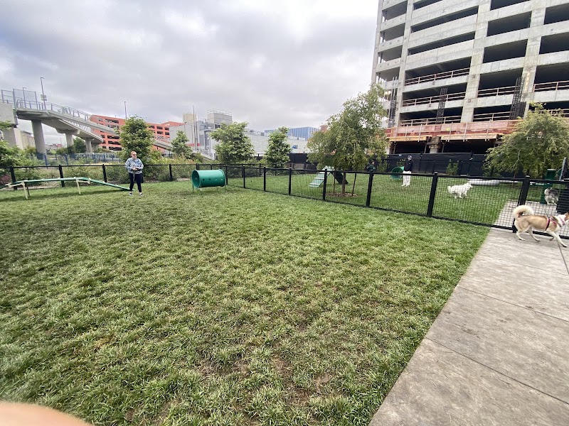 Dog park - Emeryville, CA
