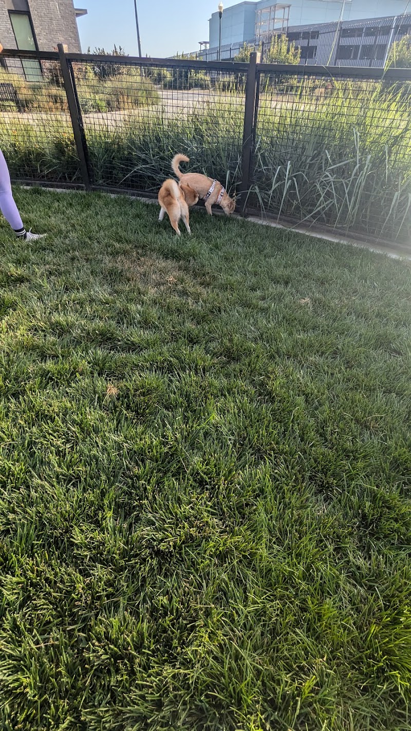 Dog park - Emeryville, CA