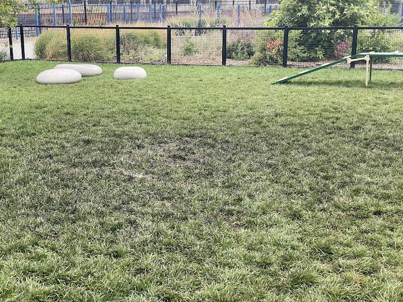 Dog park - Emeryville, CA