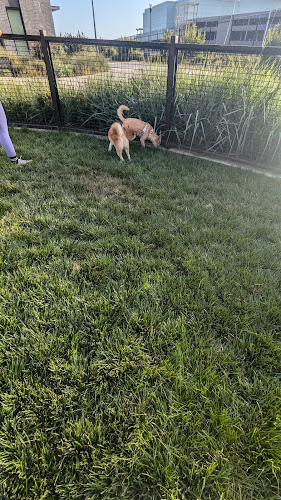 Dog park