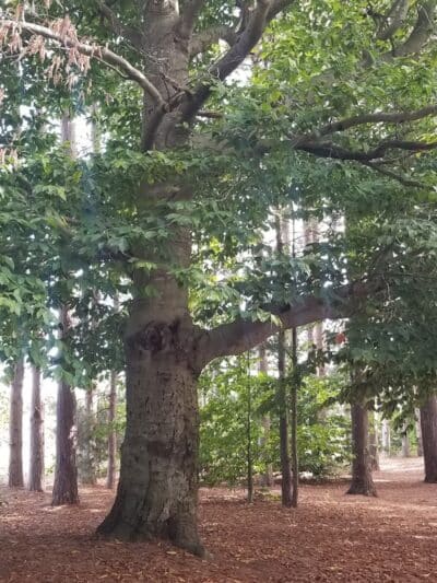 Empire Township Campground - Empire,