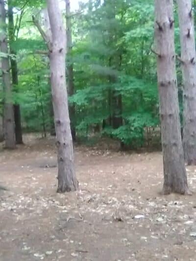 Empire Township Campground - Empire,