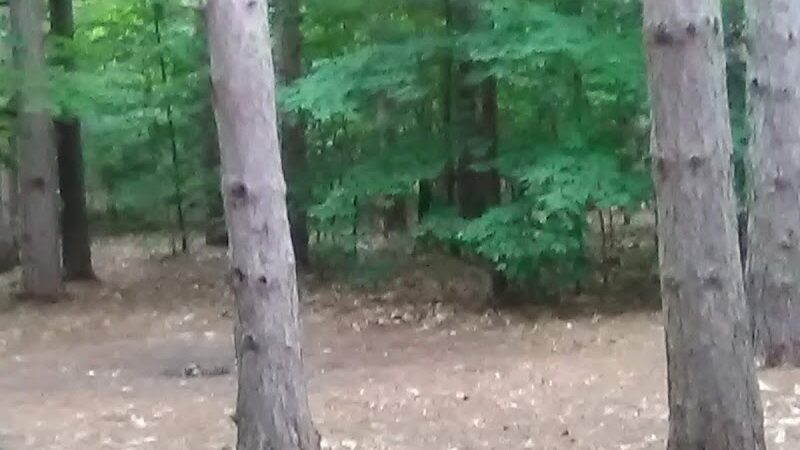 Empire Township Campground - Empire,
