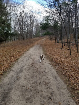 Alligator Hill Trail