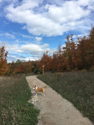 Kettles Trail