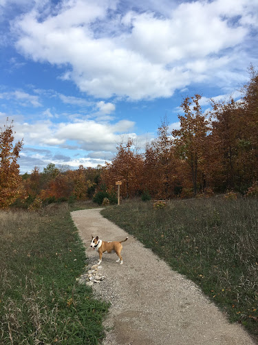 Kettles Trail