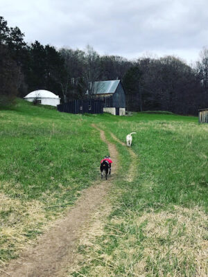 Treat Farm Trail