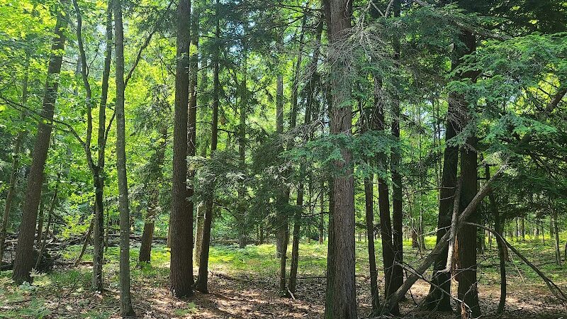 Sleeping Bear Heritage Trail - Empire,