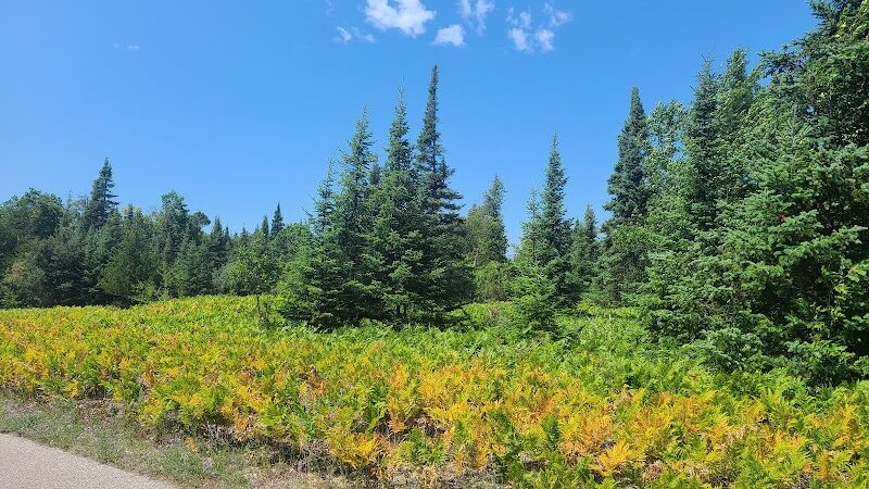 Sleeping Bear Heritage Trail - Empire,