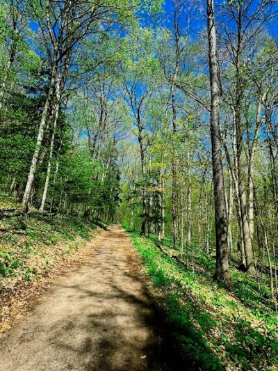 Treat Farm Trail - Empire,