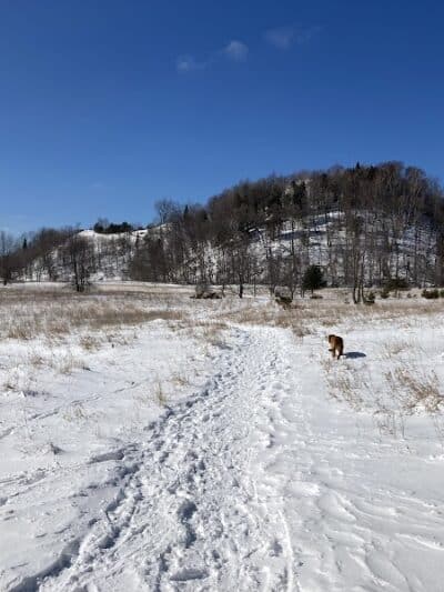 Treat Farm Trail - Empire,