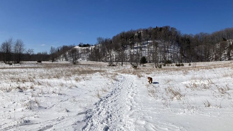 Treat Farm Trail - Empire,