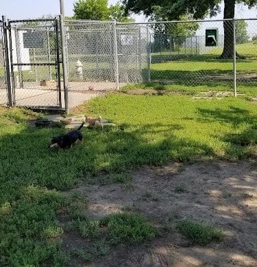 Buck Fund Dog Park