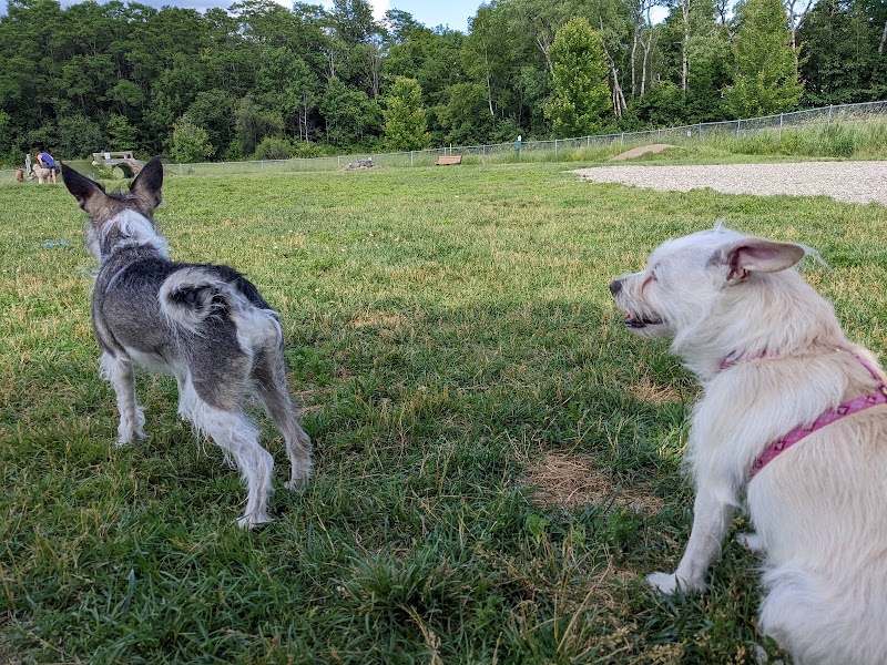 Shaker Field Dog Park - Enfield, NH