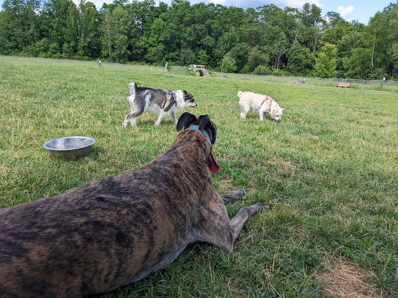 Shaker Field Dog Park - Enfield, NH