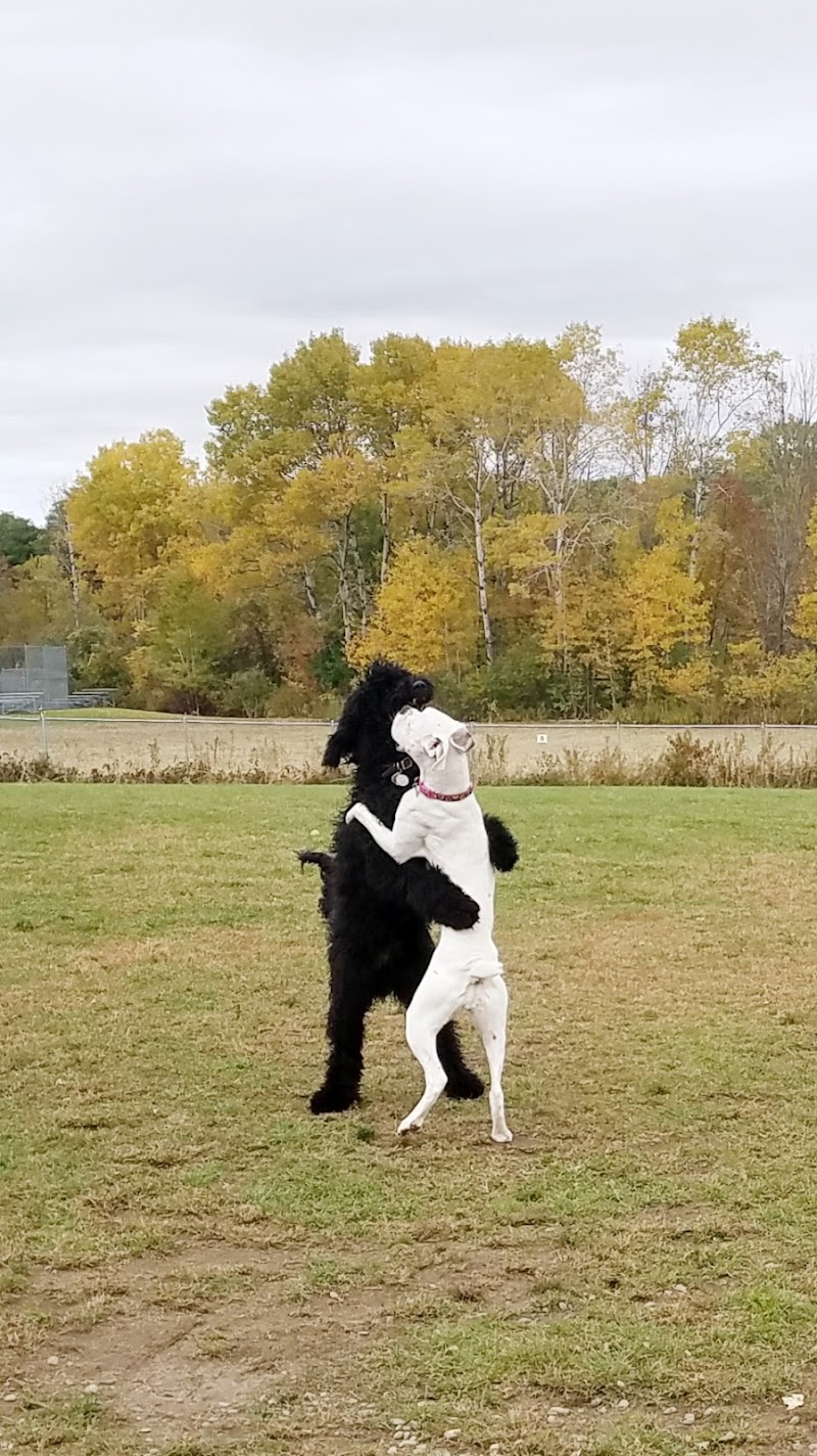 Shaker Field Dog Park - Enfield, NH