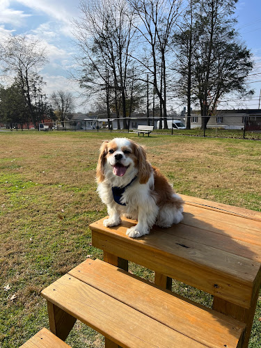 Ephrata Unleashed Dog Park