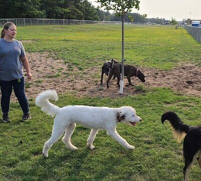 Escanaba Dog Park - Escanaba, MI
