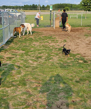 Escanaba Dog Park