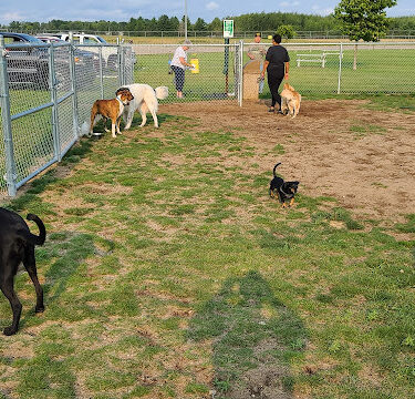Escanaba Dog Park