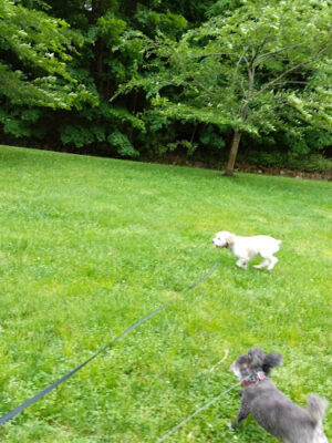 Grover Cleveland Park