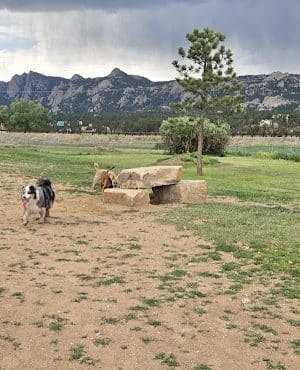 Estes Park Dog Park - Estes Park, CO