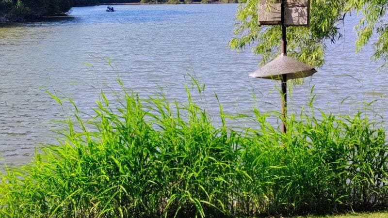 Eunice City Lake - Eunice, LA