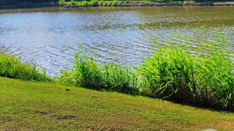Eunice City Lake - Eunice, LA
