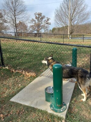 Eureka Dog Park