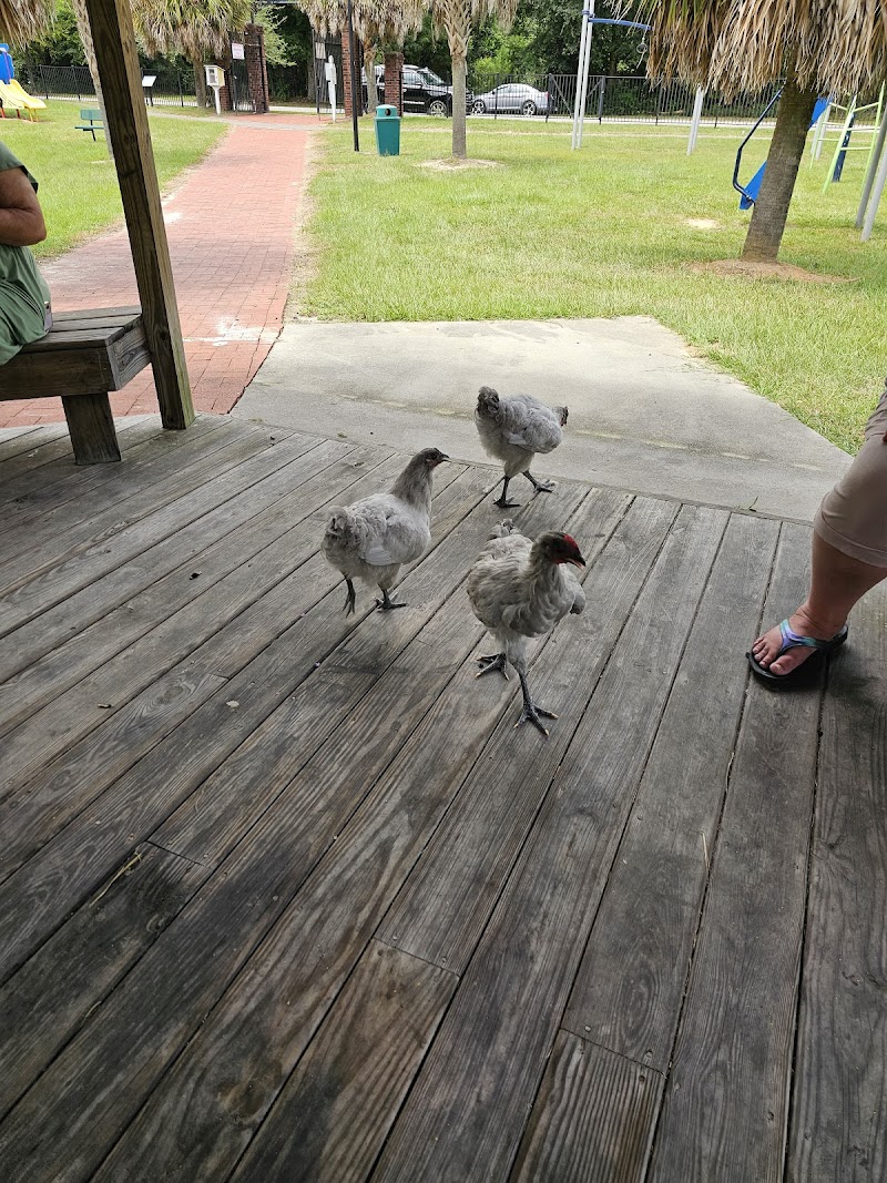 Eutawvillage Community Park - Eutawville, SC
