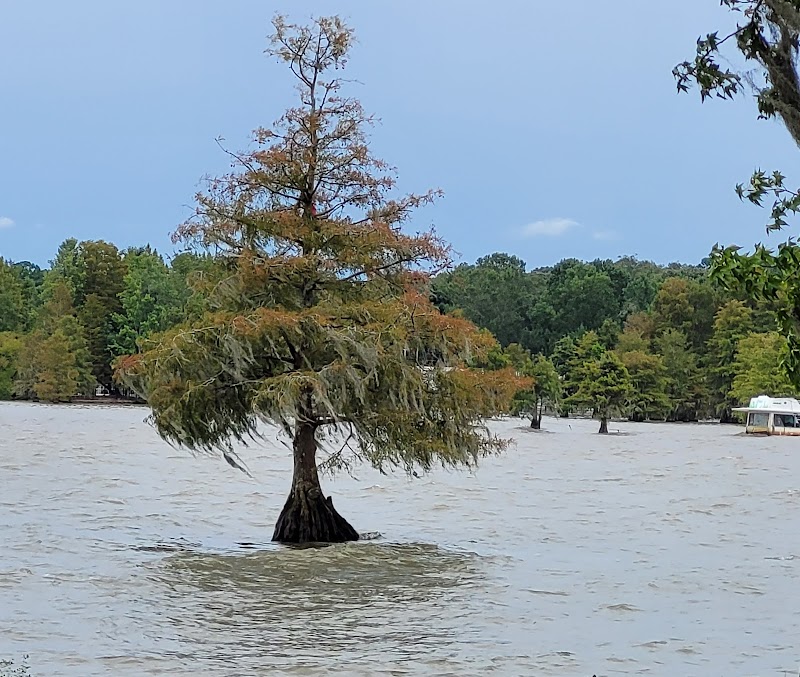 Indian Bluff Recreation Park - Eutawville, SC