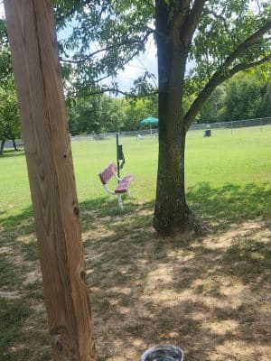 Central Bark Dog Park (Members Only)