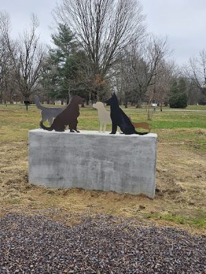 Kay C’s Barkville at Woodmere