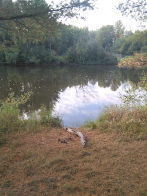 Evart City Walking Trail