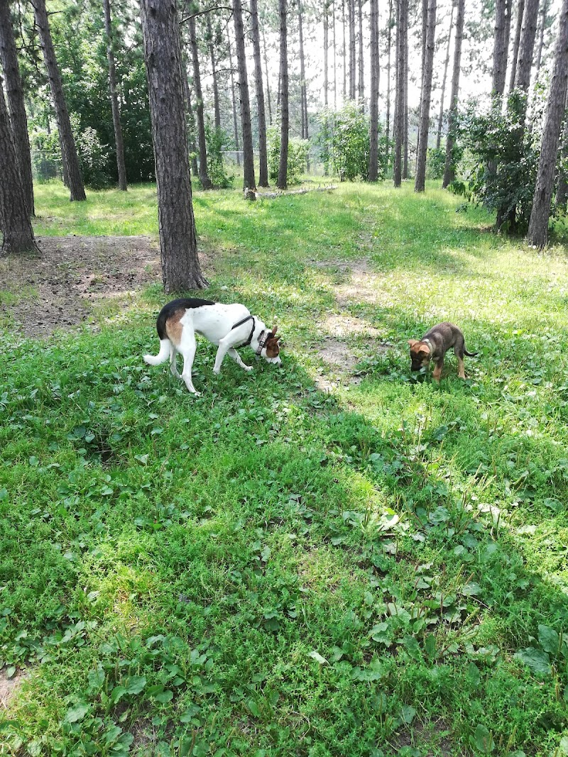 Eveleth Dog Park - Eveleth, MN