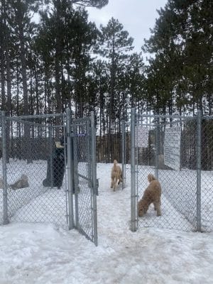 Eveleth Dog Park - Eveleth, MN