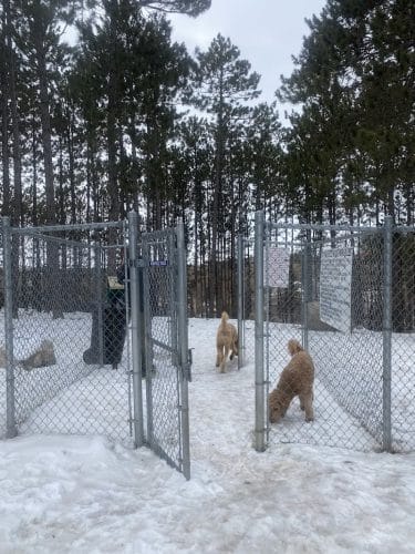 Eveleth Dog Park