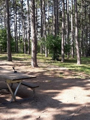 Eveleth Dog Park - Eveleth, MN
