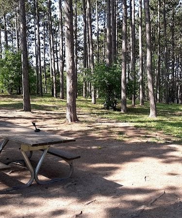 Eveleth Dog Park