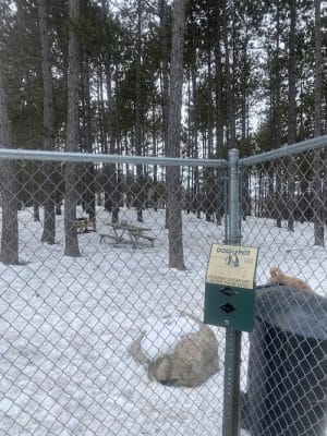 Eveleth Dog Park - Eveleth, MN