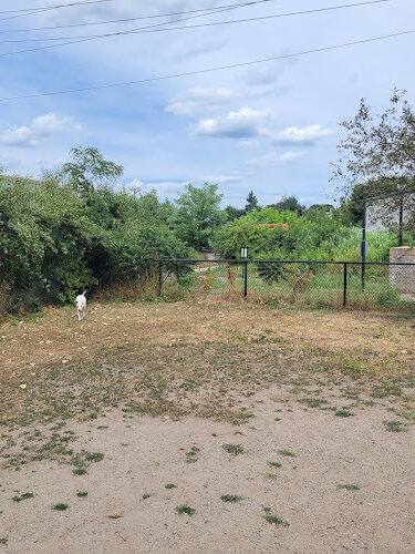 Dog Park at 7-Acre Park